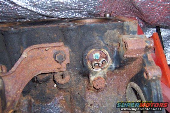 4.6l-block-heater.jpg Modular Ford block heater location.