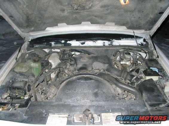 engine bay with hoses, fan shroud, and battery visible