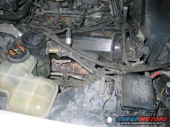 Engine bay with coolant reservoir and various hoses and wiring