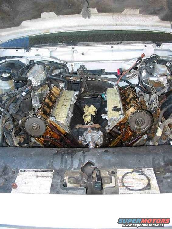 1996 Ford Crown Victoria engine bay with V8 engine, oil leaks, and visible timing chain