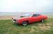 1970 Ford Torino