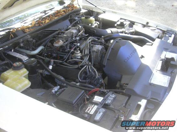 1997 Ford Crown Victoria engine bay with leaves on the cowl, showing the V8 engine, battery, and air intake