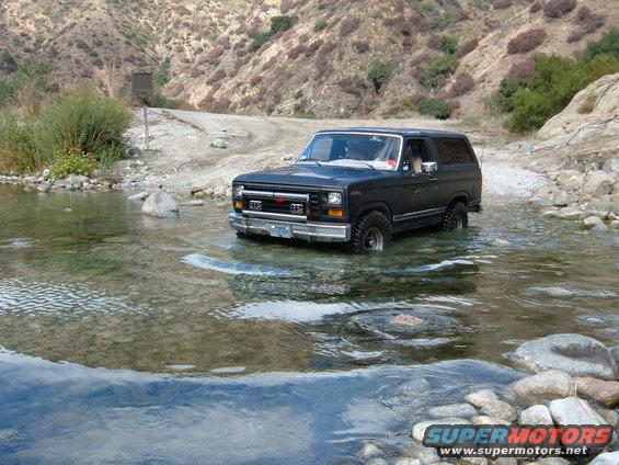 in-water.jpg