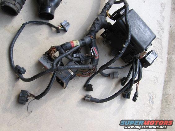 maf-harness-(2).jpg Underhood fuse box showing all connections to the EEC, firewall and engine harness. Engine harness is not included.