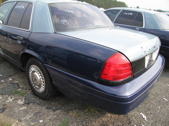 pic-146.jpg 