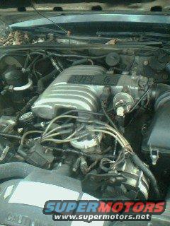 5.0 in the mercury