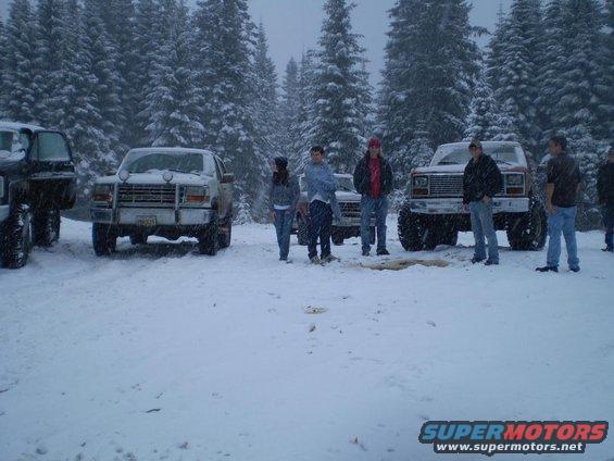 The group