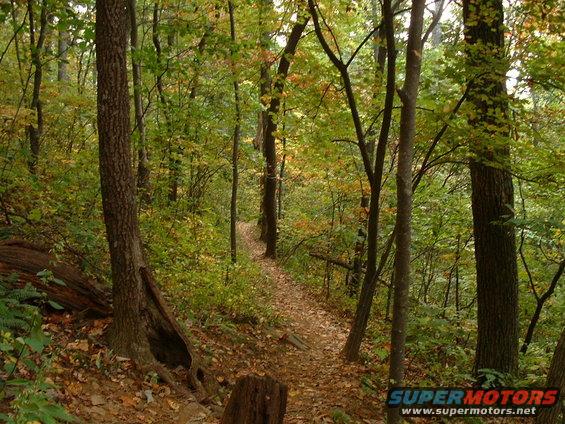 picture-048.jpg trail off of blueridge parkway at mile marker 403