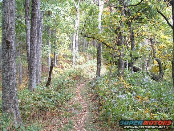 picture-051.jpg trail at mm 403