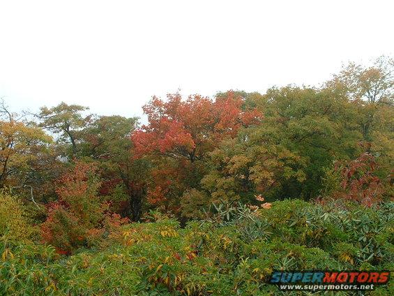 picture-056.jpg views from the parkway