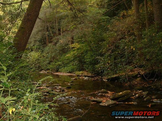 picture-057.jpg creek along hwy 276