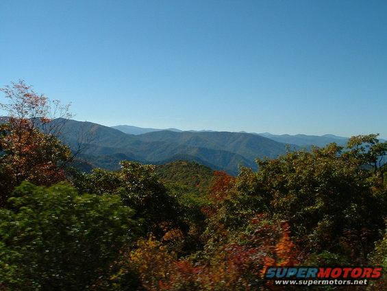 picture-117.jpg 