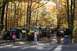1992 Jeep Cherokee - A collection of Jeeps are parked on a dirt road surrounded by trees in autumn colors.