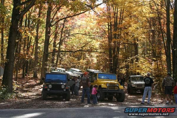 Several Jeep Wranglers parked on a dirt road in autumn woods. One yellow Jeep is in the foreground