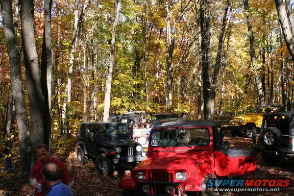 Several Jeeps parked in a wooded area with fall foliage. A red Jeep is in the foreground, with a black Jeep and a yellow Jeep visible behind it