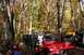 1992 Jeep Cherokee - Multiple Jeeps are gathered in a forest during the fall season, surrounded by colorful autumn leaves.