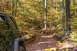 1992 Jeep Cherokee - A dark green Jeep Wrangler navigates a wooded path during autumn, with fallen leaves covering the ground.