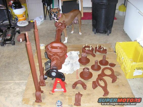 Boxer dog stands near disassembled car axle and suspension parts laid out on cardboard