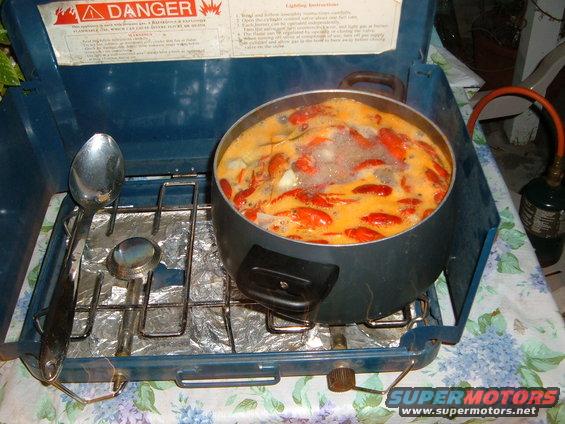 crawdad-boil.jpg Here are the 20 Crawfiash I caught 10/07. Bioled them with cayen peper,   salt, pepercorns, onion, garlic, potatoes, corn and bay. I love these little suckers.