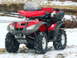 2004 Honda RINCON