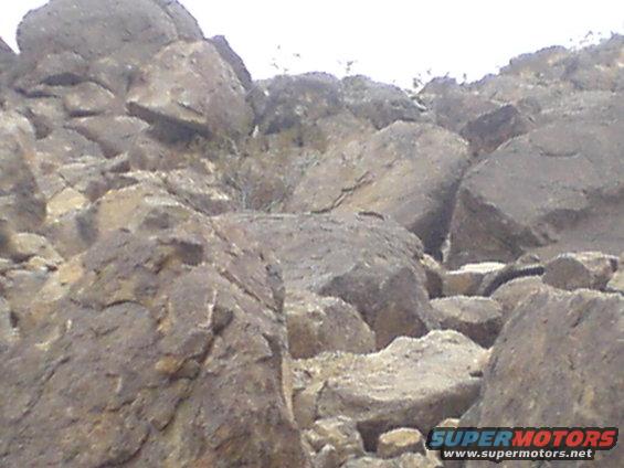Rocky hillside with scattered dry brush under a bright sky
