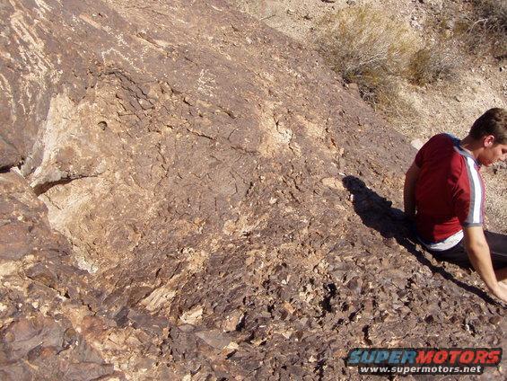 on rocks
