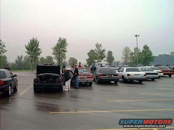 Several Ford Crown Victorias parked in a lot on a cloudy day