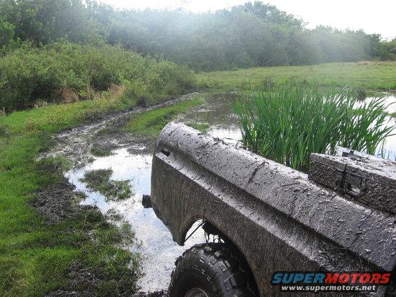 Mud-covered 1979 Ford F-150 rear quarter panel and tire in a muddy field with tall grass by a pond