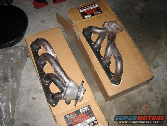 picture-442.jpg summit shorties