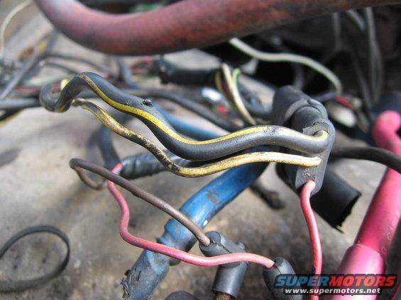 Close-up of a tangled vehicle wiring harness with black, yellow, blue, and red wires