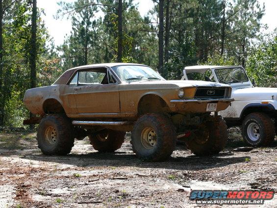 mustang1.jpg 