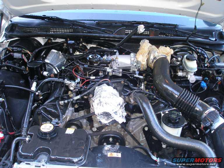engine-masked1.jpg An engine wash and detailing was long overdue.  Here's the engine bay after the wash, scrubbing, and detailer was applied. 
