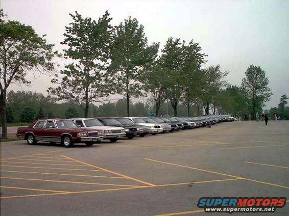 Row of sedans parked in a lot, some with trees behind them