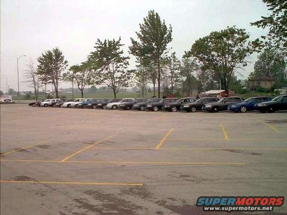 Several Ford Crown Victorias parked in a lot. Some are black, some are white