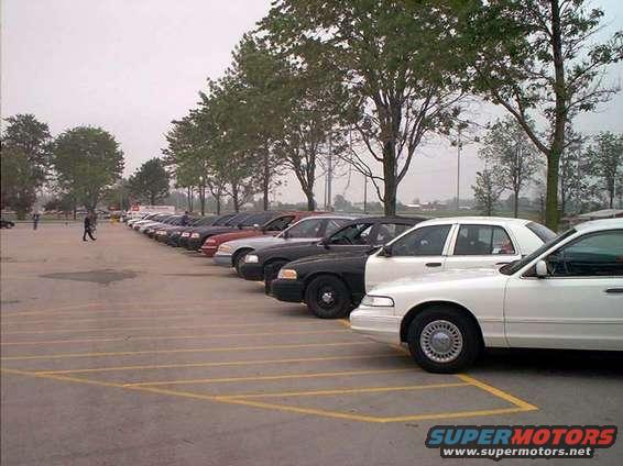 Row of police cars parked in lot, white Crown Victoria in foreground