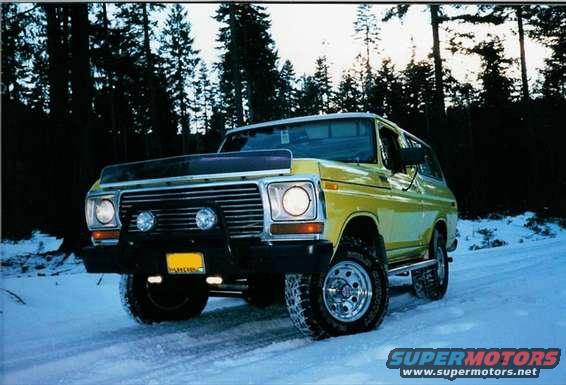snow_yellow_lf3_4_640.jpg 