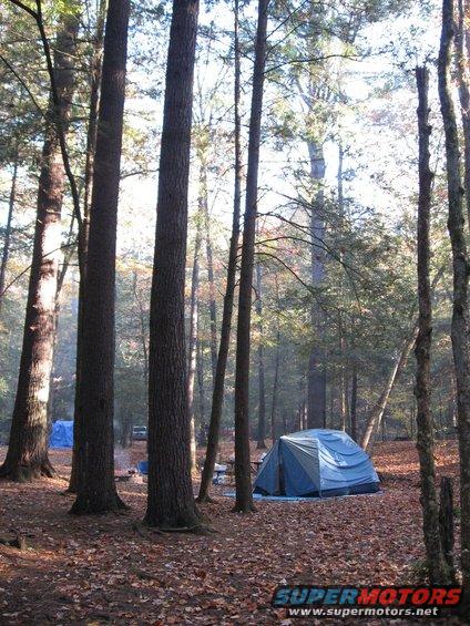Campsite with two tents in a forest, fallen leaves on the ground