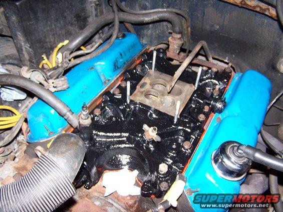 Blue valve covers and black intake manifold in engine bay