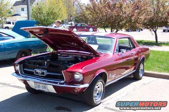 'Stang