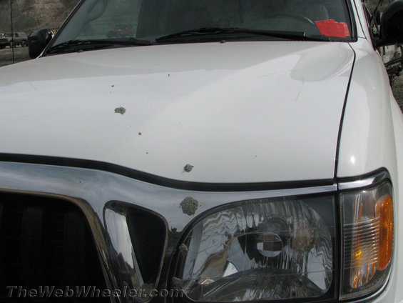 White pickup truck hood and headlight with bird droppings