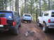 1989 Ford Bronco - Three Ford Broncos are parked on a dirt road in a forest, with a campfire pit in the foreground.