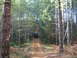 1989 Ford Bronco - A dark-colored SUV navigates a steep, unpaved road through a dense forest.