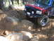 1989 Ford Bronco - This 1989 Ford Bronco tackles a challenging off-road course in a forest.