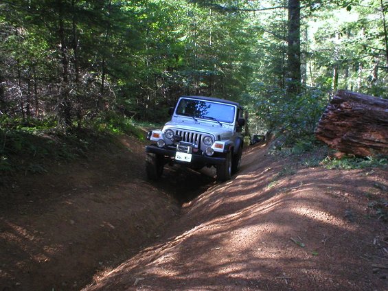 Silver Jeep Wrangler driving on a dirt trail through a forest