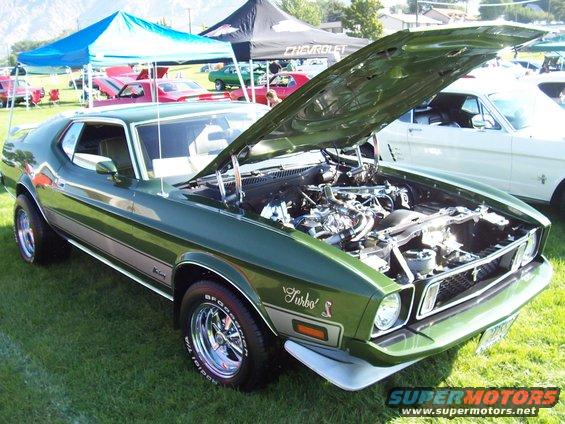 green 1973 Ford Mustang with hood open showing engine, parked on grass at an outdoor car show