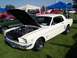 1973 Ford Mustang - A white 1965 Ford Mustang coupe is displayed with its hood open, parked on grass at an outdoor event.