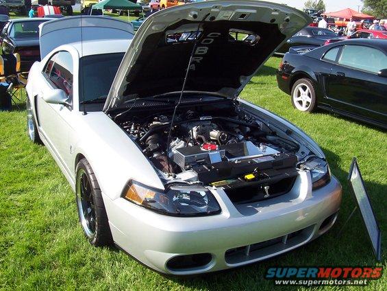 Silver Ford Mustang Cobra with hood open, showing engine and "COBRA" text on underside of hood. Front 3/4 view