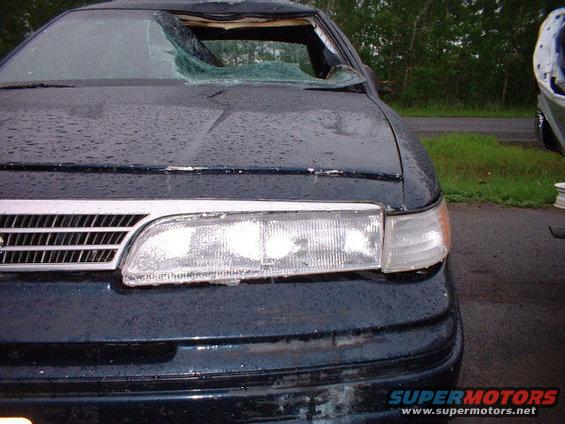 I hit this moose on the highway at around 90k/ph.  3 people were sleeping at the time of impact.  Basically the moose fell into the windsheild and then kicked itself free to the driver side.  It died minutes later about 100 feet back from where I managed to pull the car over.  Sadly I couldn't keep the meat.  Oh well.
