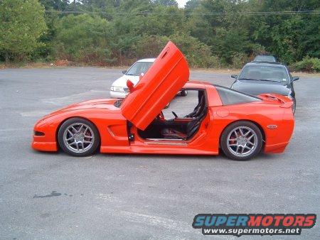 Vette