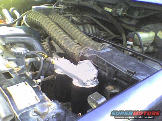 dual oil filters